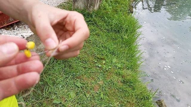 Форелевое хозяйство 