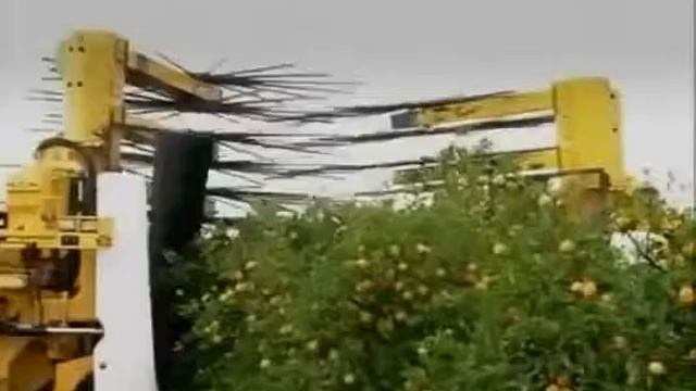 Апельсиновый сок Из чего это сделано! смотреть онлайн