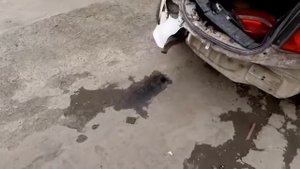Двигатель B12D1