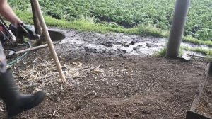 Заготовка самодельных черенков из орешника.