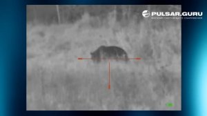Охота на медведя с ночным прицелом YUKON PHOTON