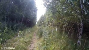 ВЕЛОПОЕЗДКИ: Архангельская область, Устьянский район, село Березник - Среднее поле - село Березник