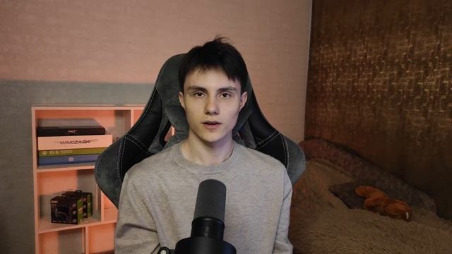 НОВАЯ БЮДЖЕТНАЯ БЕСПРОВОДНАЯ МЫШКА ОТ ARDOR | ОБЗОР ARDOR GAMING RAVAGE