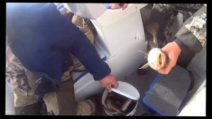 Белое море. Пертоминск июль 2018