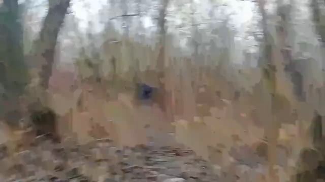 Строим шалаш из веток в роще. смотреть онлайн