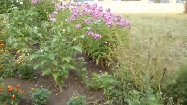 Источник св Пантелеймона Целителя под Кингисеппом