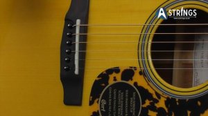Cort L300V Review