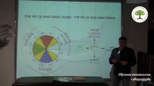 Китайская медицина. Кинезиология. Прикладная кинезиология.
