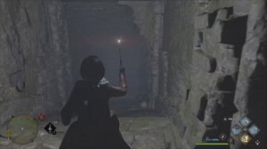 Hogwarts Legacy : Хранилище Сокровищ. Регион Фельдкрофта 3.