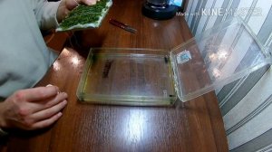 Яванский мох на синтепоне и плитке / Moss