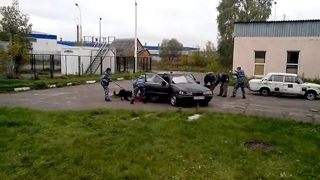 Подготовка показательных выступлений смотреть онлайн