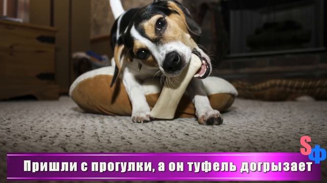 - Девоньки, вот тут лежит мое «приданное». Когда уйду, обрядите в последний путь смотреть онлайн