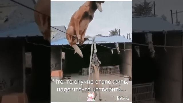 Развлекушки.