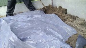 Посев дыни и арбуза на чёрную плёнку