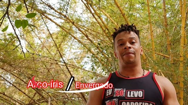 Vem aprender capoeira comigo. смотреть онлайн