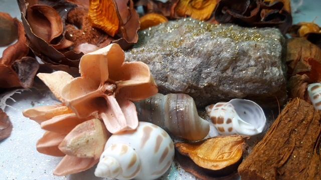 Deep House. Club dance music. смотреть онлайн