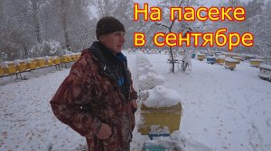 ОБСТАНОВКА на ПАСЕКЕ в СЕНТЯБРЕ!!!