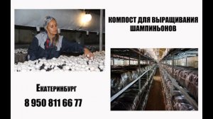 Компост для шампиньонов в Екатеринбурге