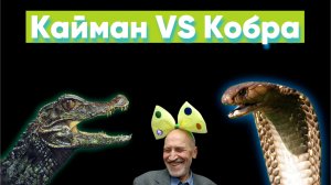 Kraftool Кайман VERSUS Knipex Кобра
