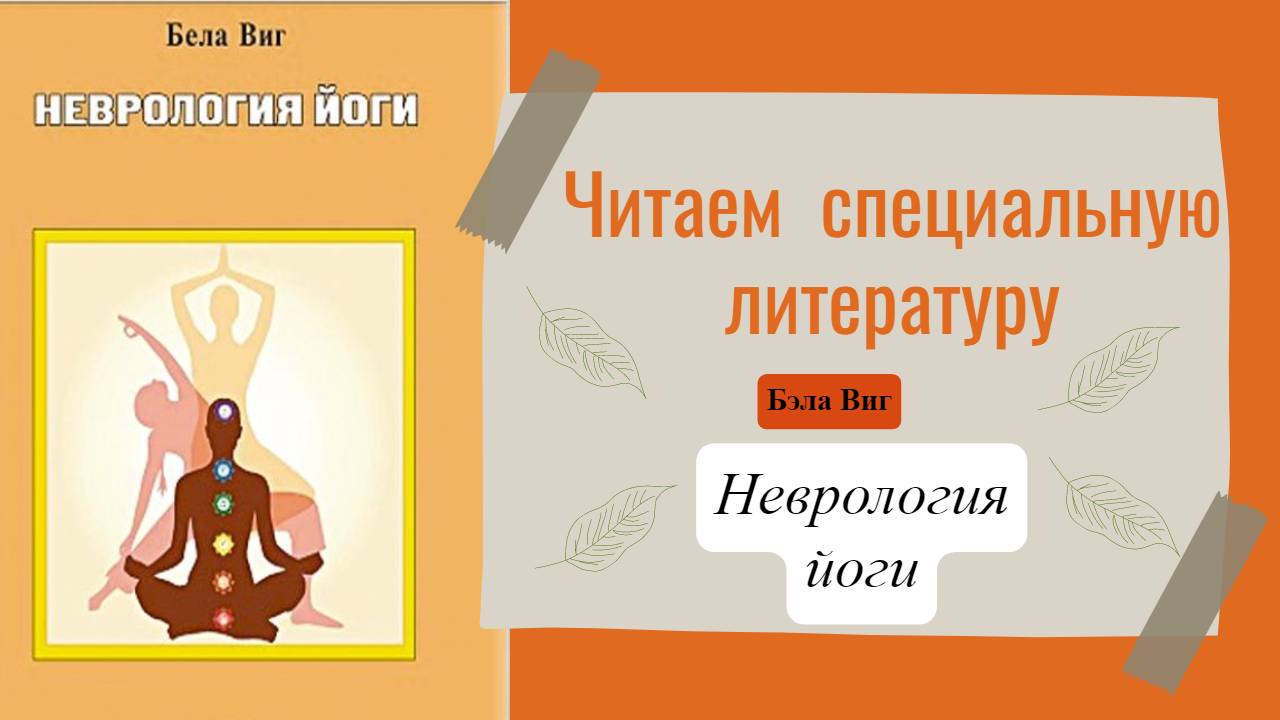 Бэла Виг. Неврология йоги | Читаем специальную литературу
