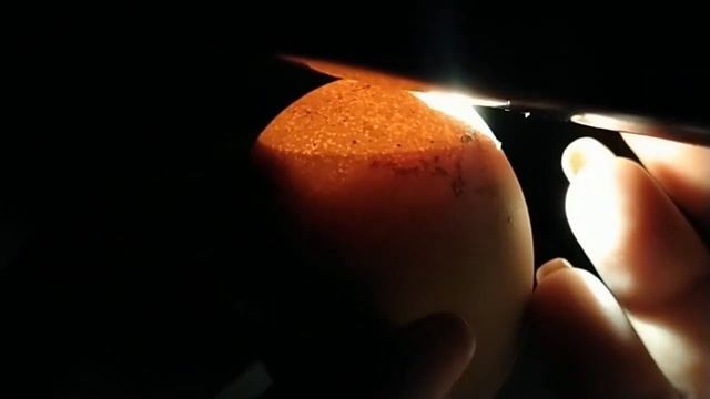 Инкубация куриных яиц день 19!/Мы на финишной прямой!) смотреть онлайн