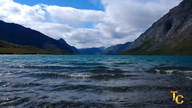 Sonetto XVII- Pablo Neruda смотреть онлайн