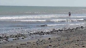 Очередная поездка на мопеде Альфа, на море