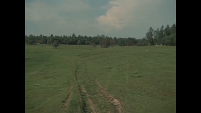 Калина красная. Встреча с матерью.