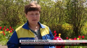 Унылые клумбы 25.05.2022