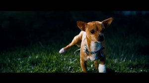 Сентинелл прайм против Айронхайда/трансформеры/битвы