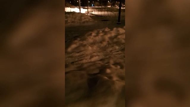 Душещипательная история одной мыши