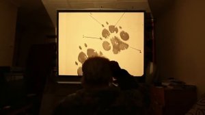 Сыщик по поиску домашних животных использует Skype чтобы найти потерянных любимцев.