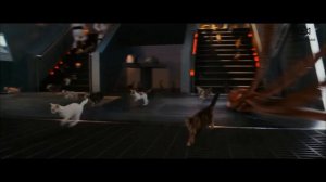 Сцена спасения с космической станции, с помощью котов Флеркенов. #фильмы #marvels #кино