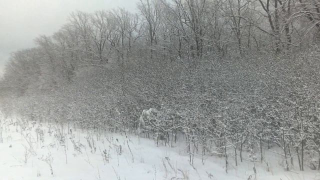 #. Утро 7 января.. РОЖДЕСТВО 🎆🎄🎉🎊🎄🎆 смотреть онлайн