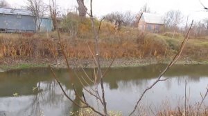 Коротко об обрезки молодых орехов. Формировка ореха.