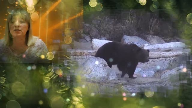 Особо охраняемые природные территории смотреть онлайн