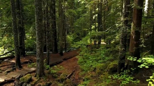 Гарри Поттер и Философский камень смотреть онлайн