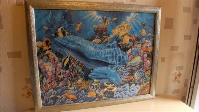 Dolphins of the ocean(дельфины океана) видео по запросу смотреть онлайн