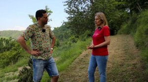 Пчеловодство в Италии. Сколько приносит продажа меда?