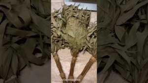 Веник эвкалиптовый Банный