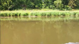 Мотор болтоход по траве тайский винт 8,5