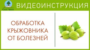 Мучнистая роса крыжовника. Телепередача Земля Уральская. Архив 2011 год