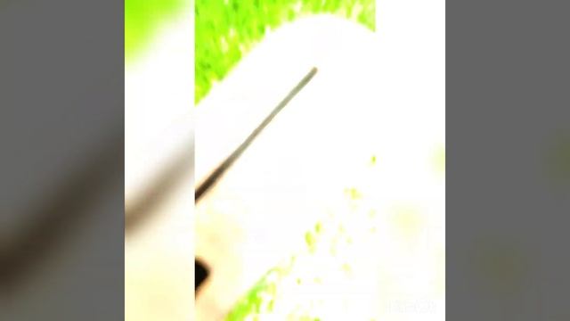 Что подарить маме на день рождения от дочери ночник АркЛайт? смотреть онлайн