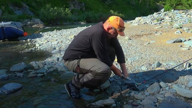 В поисках хариуса забрались в такую глушь. Впервые на Алтае ловим мега кабанов/Новая река #2