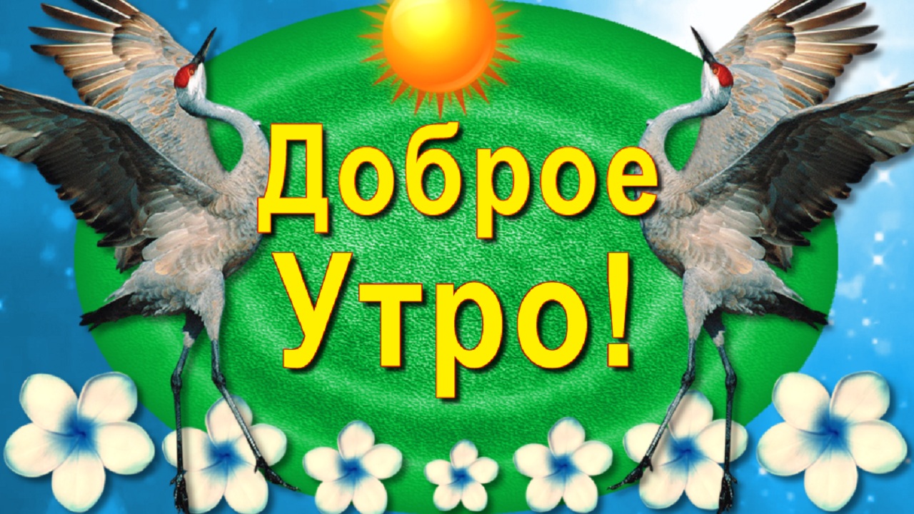 Доброе Утро и приятного Дня!