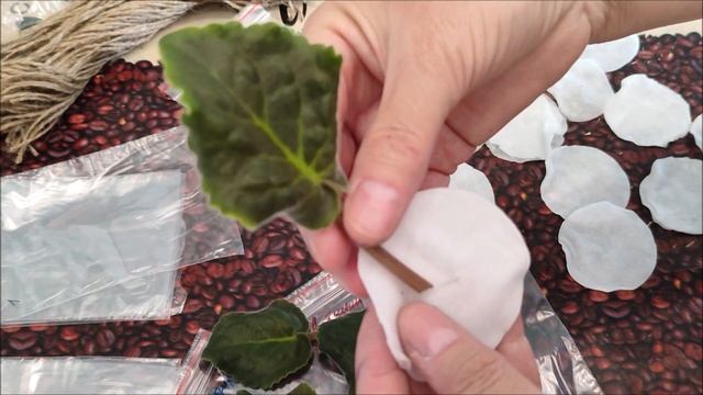 ЧТО с вашими ПОСЫЛКАМИ и КУДА МЫ ПОТЕРЯЛИСЬ ⁉️ смотреть онлайн