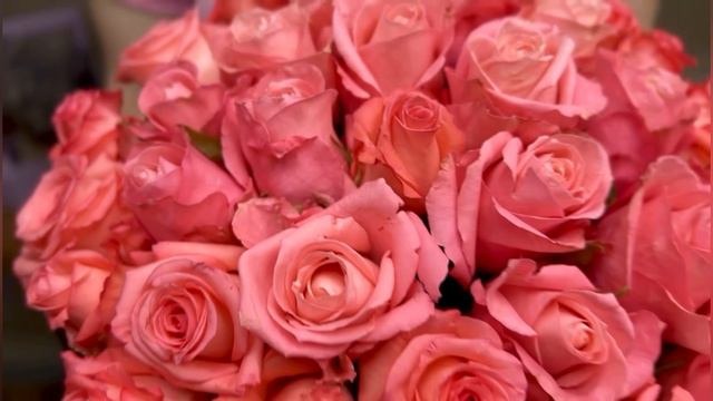 Квіти в коробці Аріана (Цветы в коробке 35 роз Ариана) смотреть онлайн