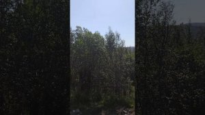 #мурманск Строится новый район Озёрный.