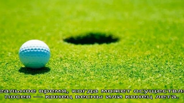 Как сделать газон своими руками: подробное руководство смотреть онлайн