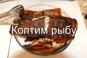 Как закоптить рыбу